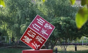 研究成果