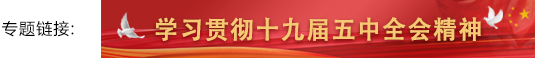 学习贯彻十九届五中全会精神banner.jpg